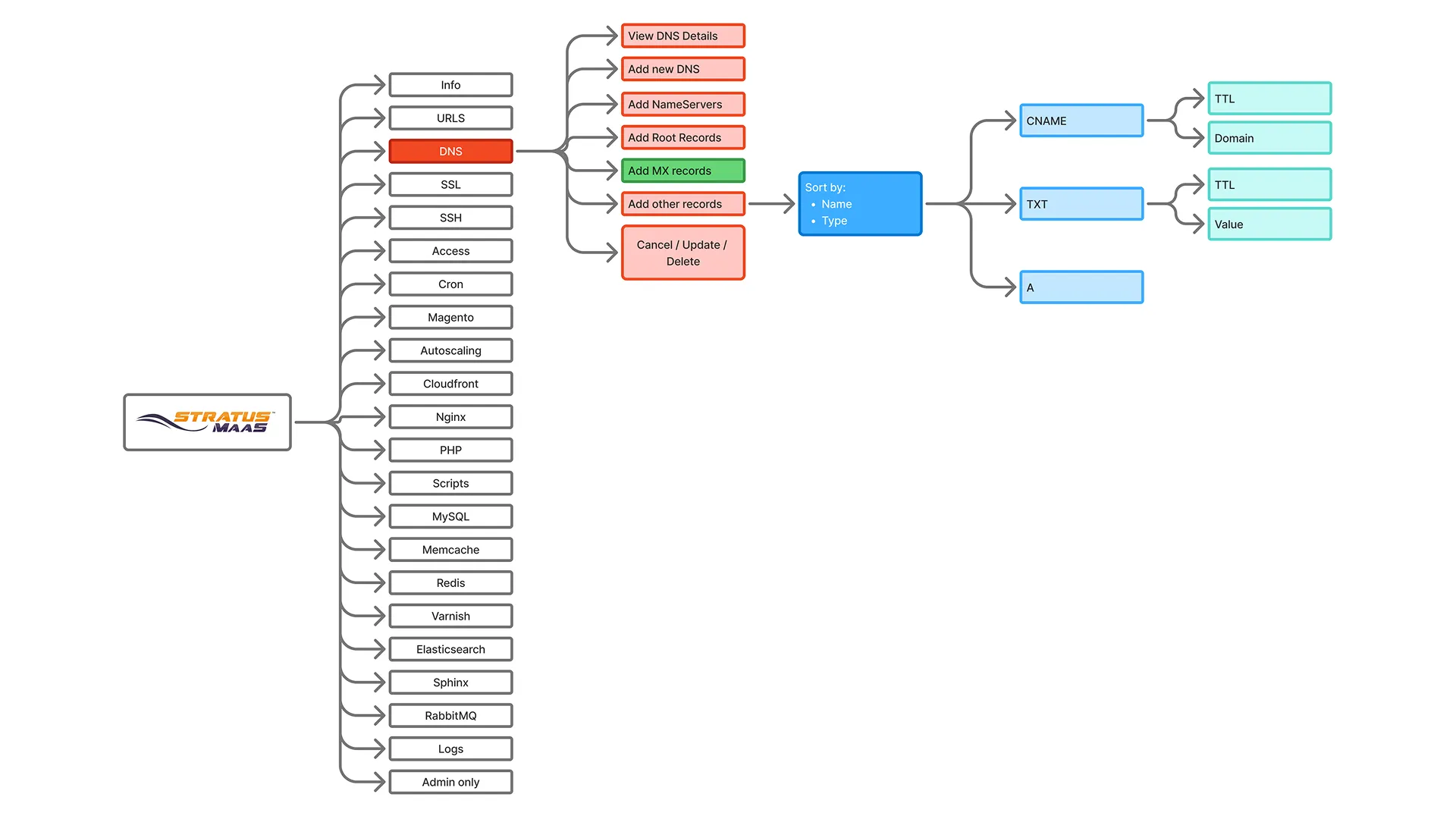 DNS information architecture showing status, action, and configuration nesting